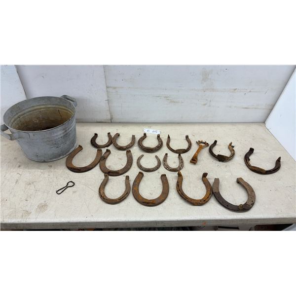 Galvanized Metal Bucket and Assorted Rusty Horseshoes