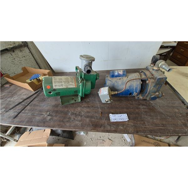 Two Water Pumps: Green Pump with 1-1/2 HP Motor; Blue Pump with Pressure Gauge and Switch
