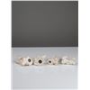 Image 3 : 4pc Beswick Westie Figurines
