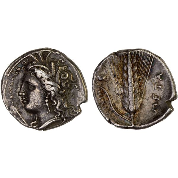 LUCANIA: Metapontum, AR nomos (didrachm) (6.69g), ca. 340-330 BC, VF