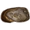 Image 1 : CHINA: AR sycee (368.6g), GBCA graded AU53
