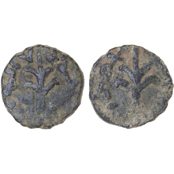 UMAYYAD: AE fals (2.47g), NM (Palestine), ND (ca. 730-750), VF
