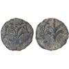 Image 1 : UMAYYAD: AE fals (2.47g), NM (Palestine), ND (ca. 730-750), VF