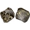 Image 1 : GANDHARA: Punchmarked, ca. 450-300 BC, AR square 1/8 shatamana (1.34g), crude XF