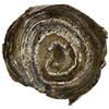 Image 1 : CHINA: AR sycee (55.02g), XF