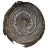 Image 1 : CHINA: AR sycee (55.02g), VF