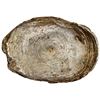 Image 1 : CHINA: AR sycee (63.75g), VF