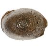 Image 2 : CHINA: AR sycee (63.75g), VF