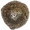 Image 2 : CHINA: AR sycee (41.16g), VF