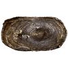 Image 1 : CHINA: AR sycee (16.81g), VF
