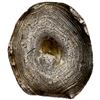 Image 1 : CHINA: AR sycee (36.65g), F-VF