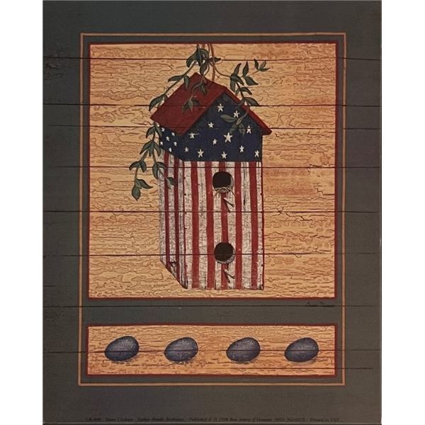 Country Folk Art USA Birdhouse Art Print