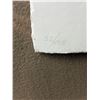 Image 4 : "Sanctuary" Cast Paper Artwork