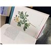 Image 5 : Coffee Table Books