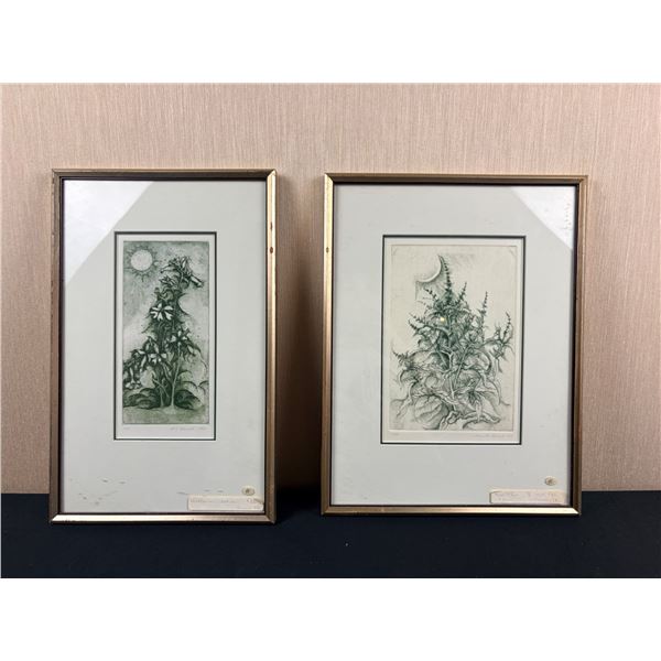 Helen E. Stewart Art Prints