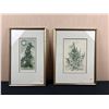 Image 1 : Helen E. Stewart Art Prints