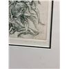 Image 3 : Helen E. Stewart Art Prints