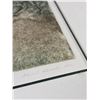 Image 4 : "Roots and Rabbits" Artists Proof by Helen E. Stewart
