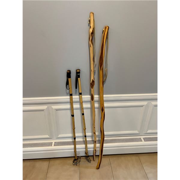 Walking Sticks & Skin Poles