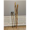 Image 1 : Walking Sticks & Skin Poles