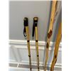 Image 3 : Walking Sticks & Skin Poles