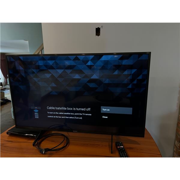 Sony 43" TV