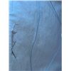 Image 4 : Robert Bateman Sketch Print