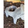 Image 3 : Concrete Donkey Planter
