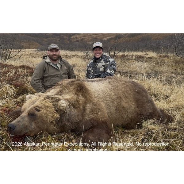 Alaska Penninsula Brown Bear Hunt with Henry Tiffany
