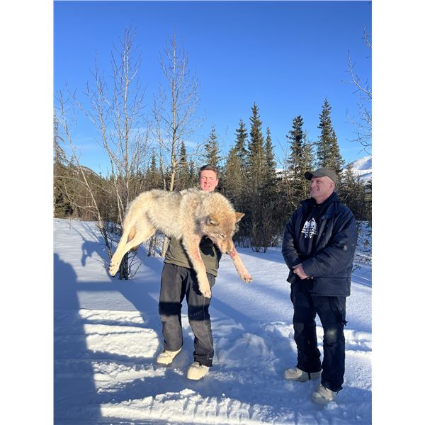 7-Day Alaska Predator Hunt for One Hunter & One Observer - Donated by Coke Wallace | Midnight Sun Sa