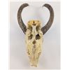 Image 7 : Deer Skull Trophy Wall Mount