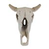 Image 1 : Faux Taxidermy Weathered Bison Skull Wall Decor " Rustic Resin Buffalo Mount