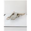 Image 2 : Faux Taxidermy Weathered Bison Skull Wall Decor " Rustic Resin Buffalo Mount
