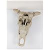 Image 6 : Faux Taxidermy Weathered Bison Skull Wall Decor " Rustic Resin Buffalo Mount
