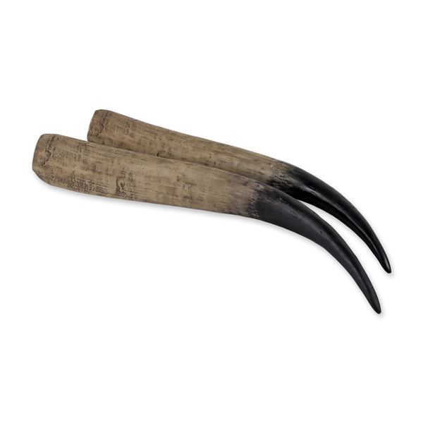 Pair of Polished Oryx Gemsbok Horns