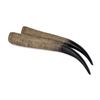 Image 1 : Pair of Polished Oryx Gemsbok Horns