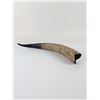 Image 2 : Pair of Polished Oryx Gemsbok Horns
