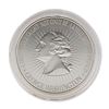 Image 1 : US 1 oz .999 Fine Silver 2nd Amendment Round