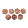 Image 1 : 7pc US Dinosaur Copper Rounds