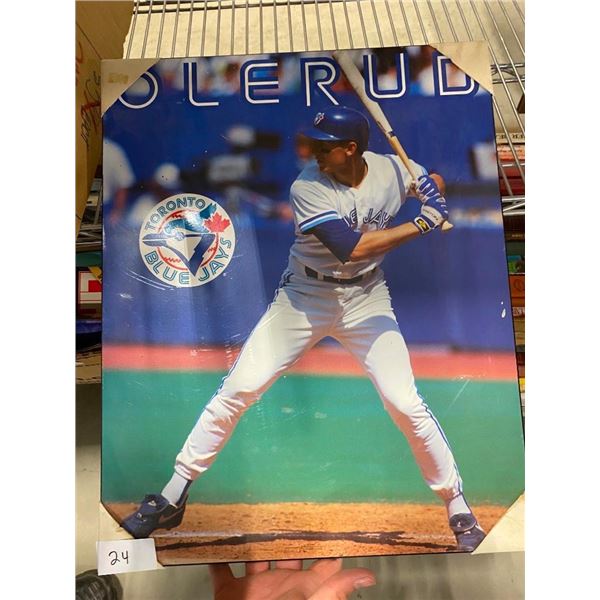 BLUE JAYS POSTER