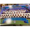 Image 1 : TORONTO BLUE JAYS POSTER