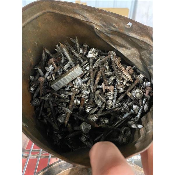 SMALL PAIL OF SELF-TAPPING SCREWS
