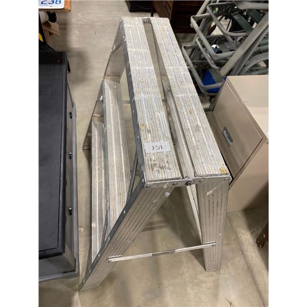 3FT STEP LADDER