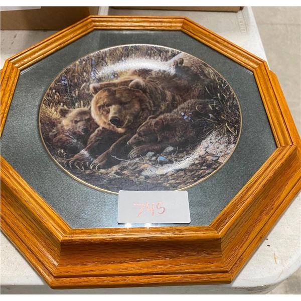 COLLECTIBLE BEAR PLATE PICTURE
