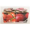 Image 1 : INDOOR/OUTDOOR TOMATOES & RADISH