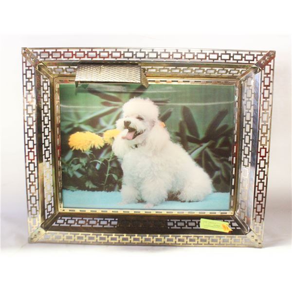 POODLE PICTURE W/ LIGHT