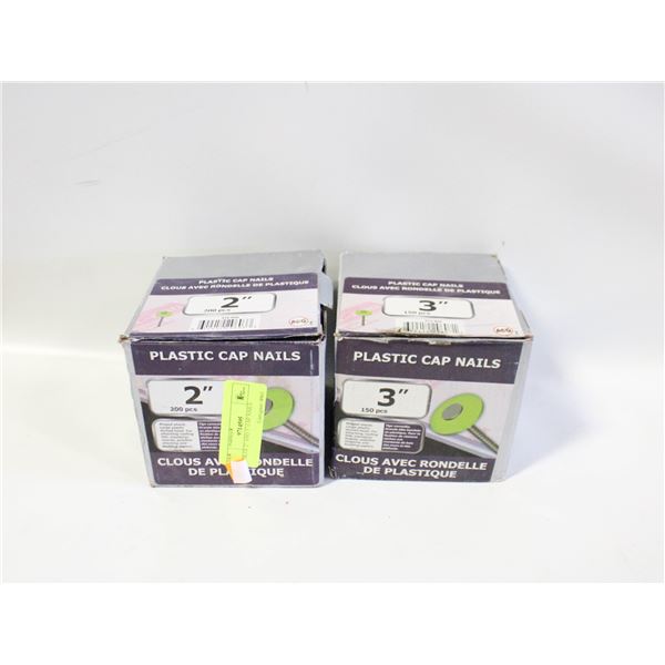 BOX OF 2" AND 3" CAP NAILS