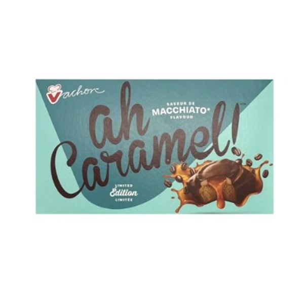 BOX OF 32 VACHON AH CARAMEL! MACCHIATO CAKES