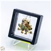 Image 1 : NEW PRINCE FROG BROOCH