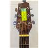 Image 3 : FENDER GEMINI ACOUSTIC GUITAR